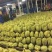 泰国金枕头榴莲