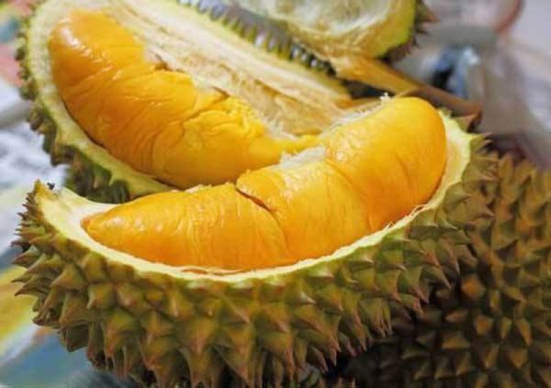 泰国金枕头榴莲