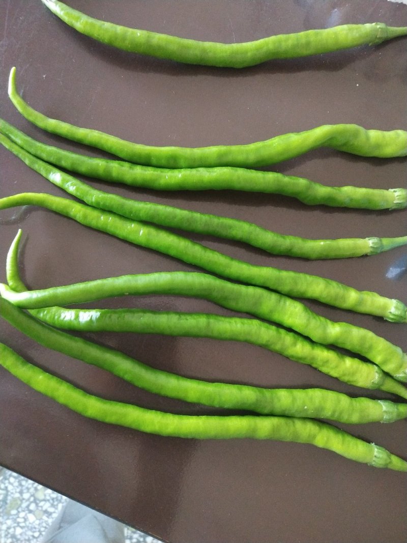 长线椒