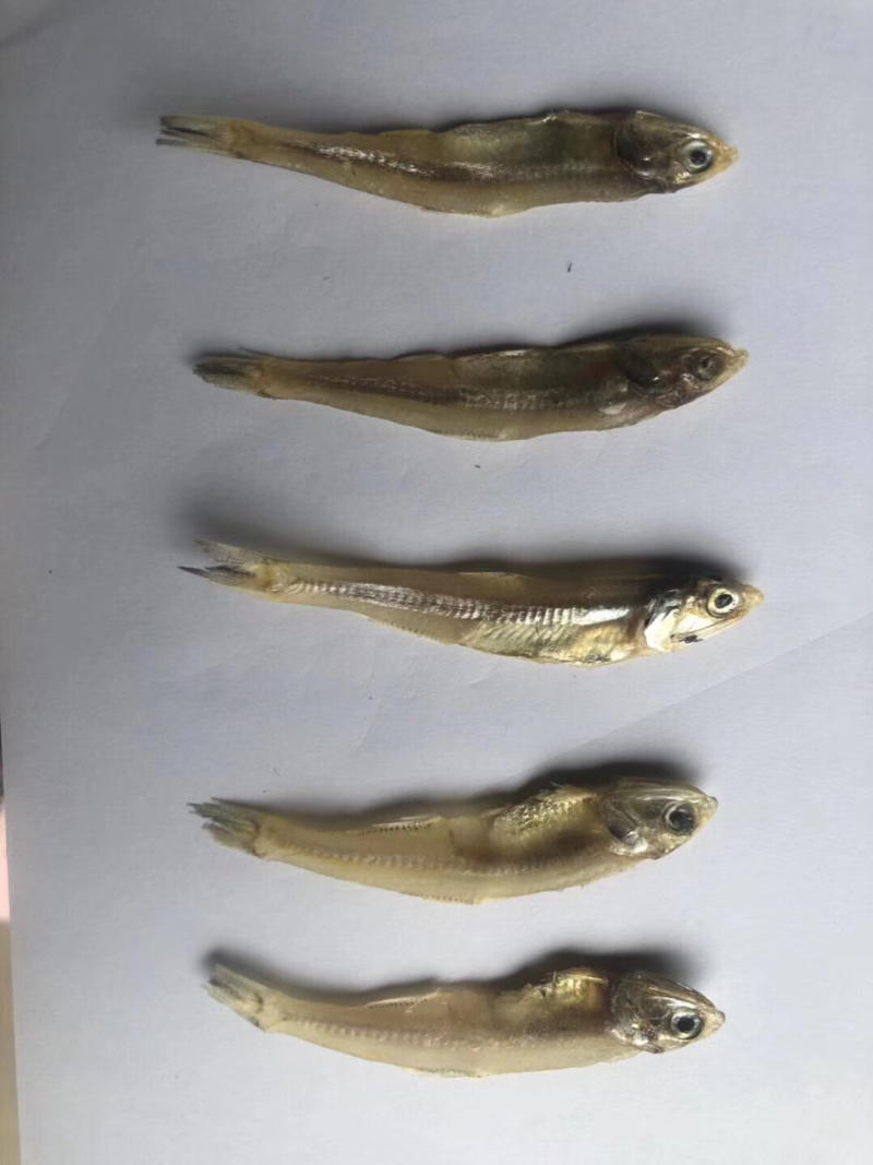 深海小鱼干银鱼干小鱼干