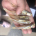 深海小鱼干银鱼干小鱼干