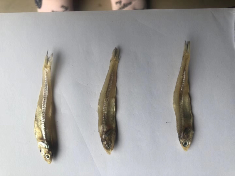 深海小鱼干银鱼干小鱼干