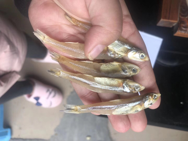 小鱼干银鱼干牙签鱼鱼干