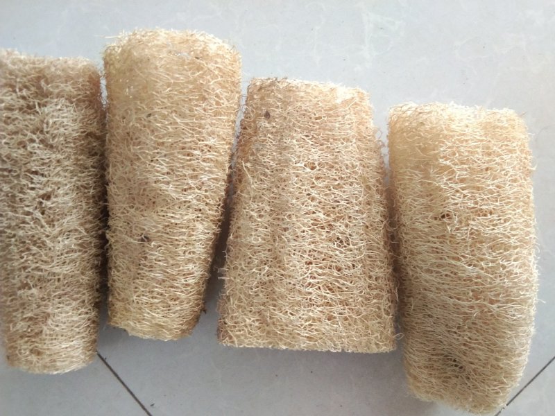 丝瓜络大量现货现货现发量大从优价格实惠欢迎电话