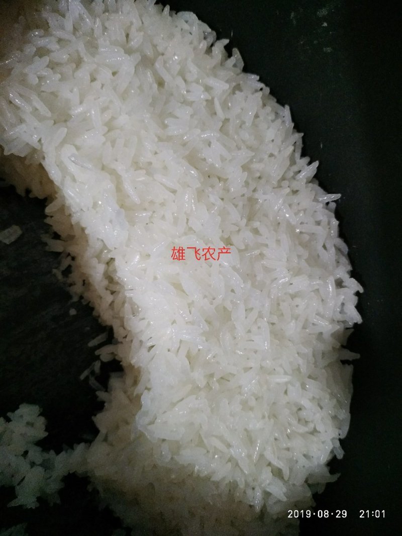 湖北荆州晚稻黄花粘稻虾稻虾田稻稻谷美香粘2号
