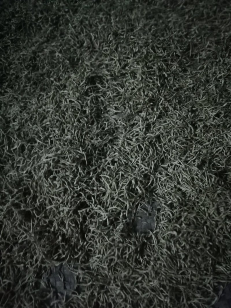 金银花南水北调源头地产货