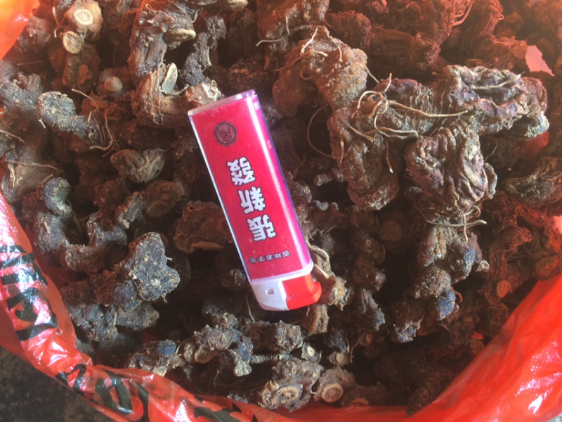 野生黄精5蒸5晒