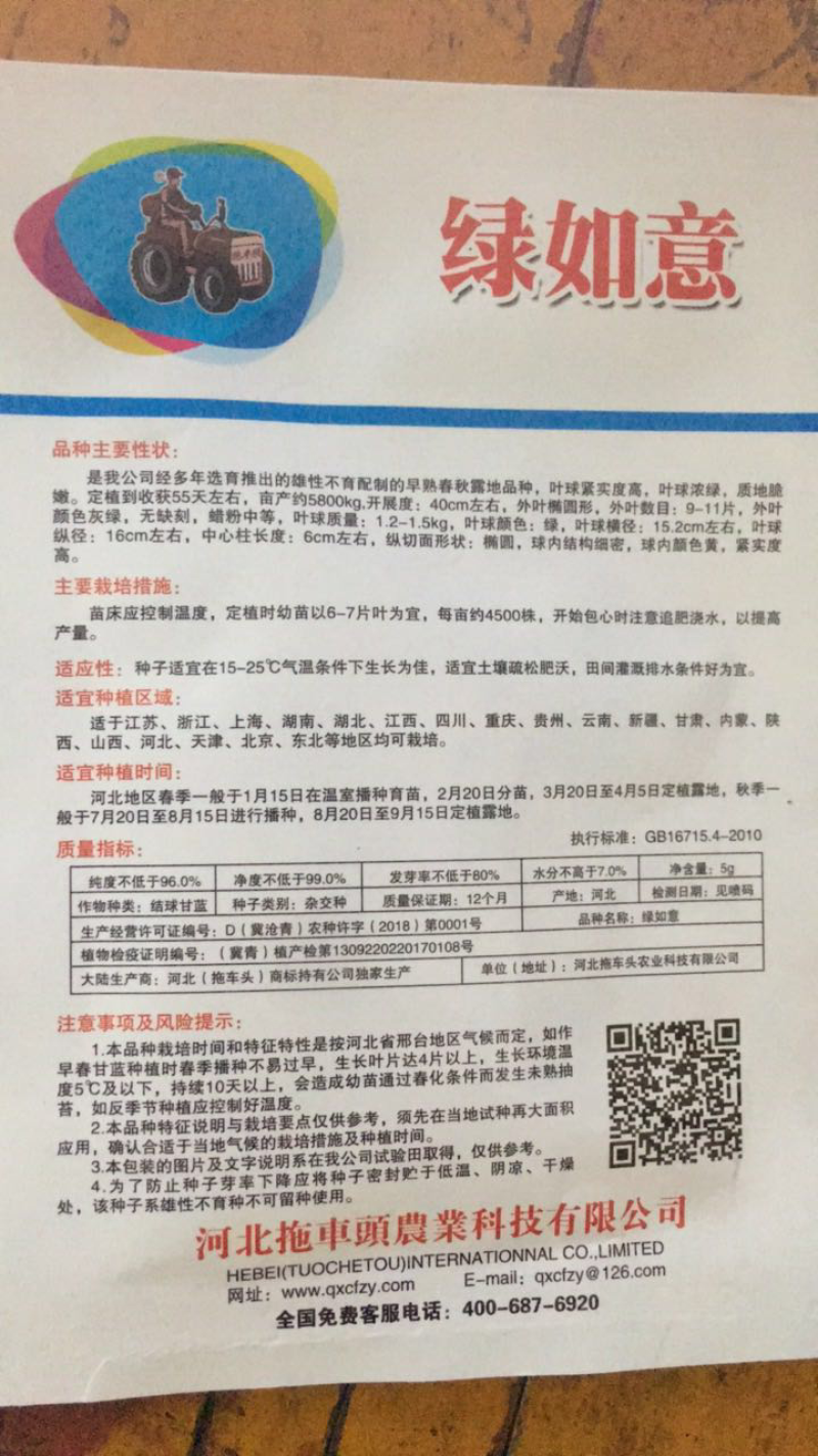 甘蓝绿如意种子早熟高产
