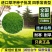 高羊茅草籽进口耐践踏庭院不修剪护坡绿化草皮种籽四季青草坪