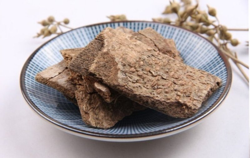 鸭脚木皮，道地药材，质优价实，品质保证，药典标准，一公斤