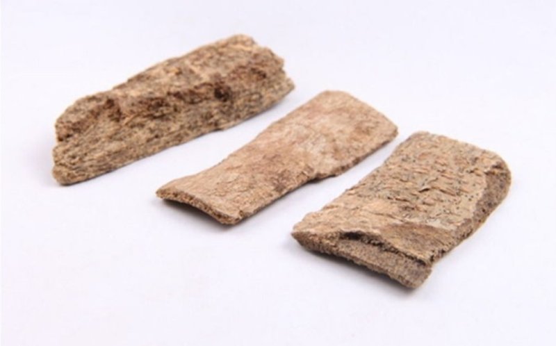 鸭脚木皮，道地药材，质优价实，品质保证，药典标准，一公斤
