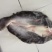腌制巴沙鱼