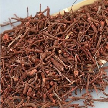 红茜草千余品种供应承接订单