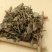 寻骨风根寻骨风千余品种供应承接订单