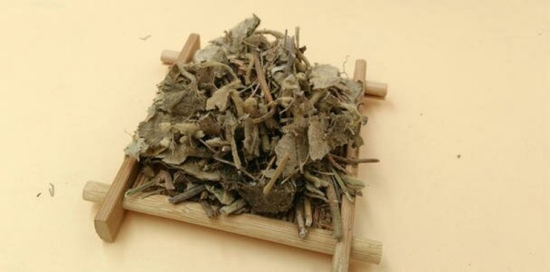 寻骨风根寻骨风千余品种供应承接订单