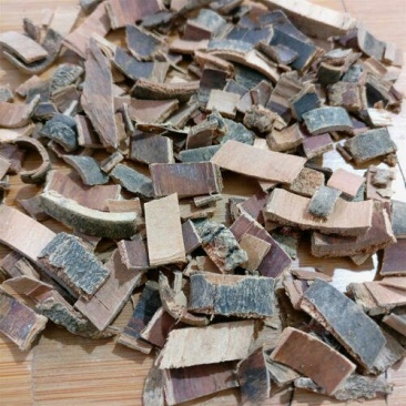 梓白皮千余品种供应承接订单