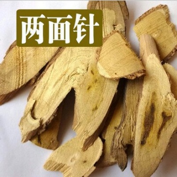 两面针千余品种供应承接订单