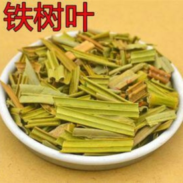 苏铁叶千余品种供应承接订单
