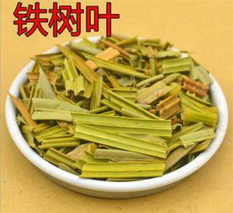 苏铁叶千余品种供应承接订单