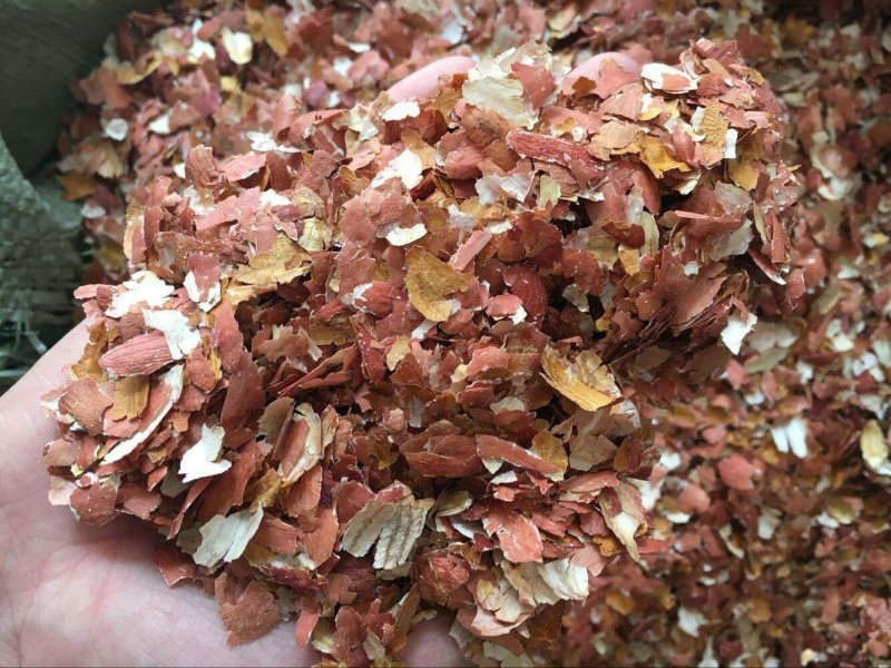 花生衣千余品种供应承接订单