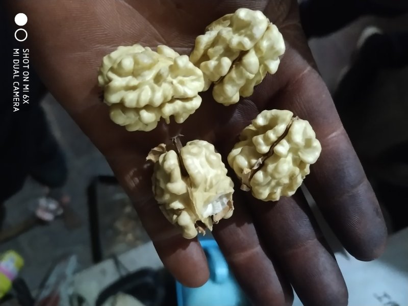 小胖水果蔬菜批