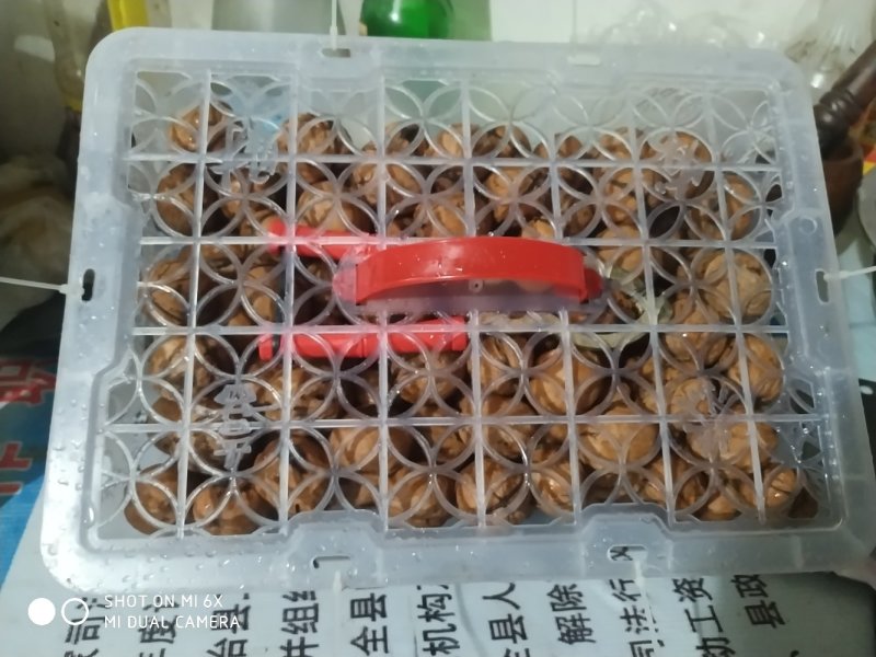 小胖水果蔬菜批