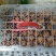 小胖水果蔬菜批