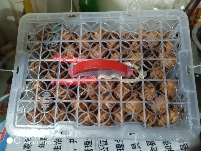 小胖水果蔬菜批