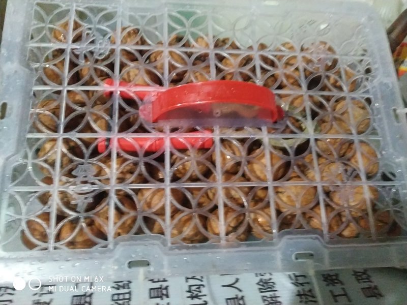 小胖水果蔬菜批