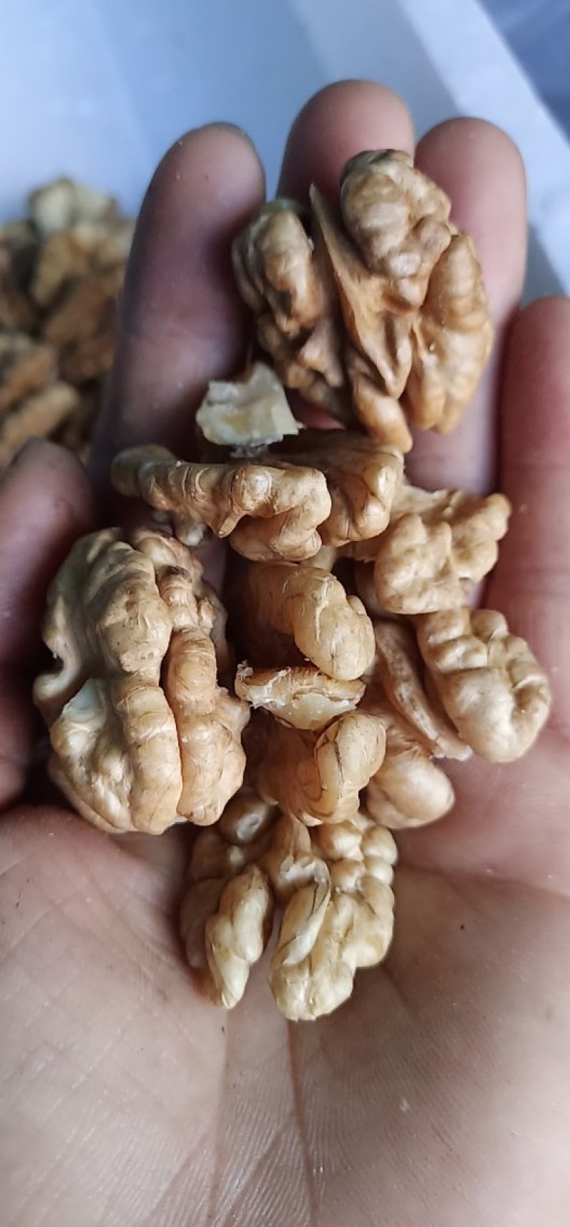 核桃仁