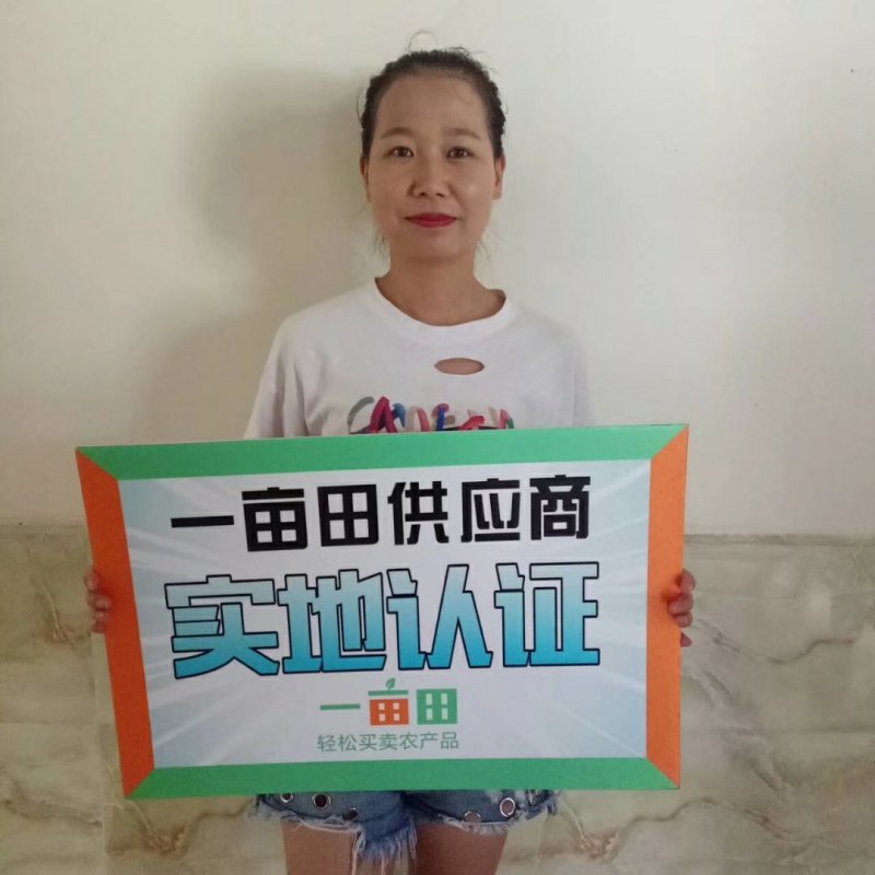 湖北蜜橘国庆蜜橘诚心实意代办皮薄个大口感纯甜