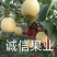 《实力》[蒲城酥梨]火爆大量供应中，货源充足。对接全国。