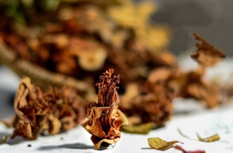 木棉花，产地广西道地药材，质优价实，品质保证，药典标准，