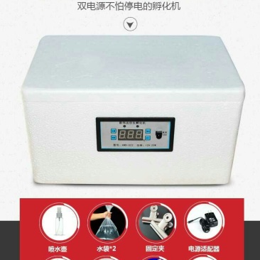 新伟达水床孵化机全自动小型家用型孔雀孵蛋器鸭鹅鸽子小鸡孵