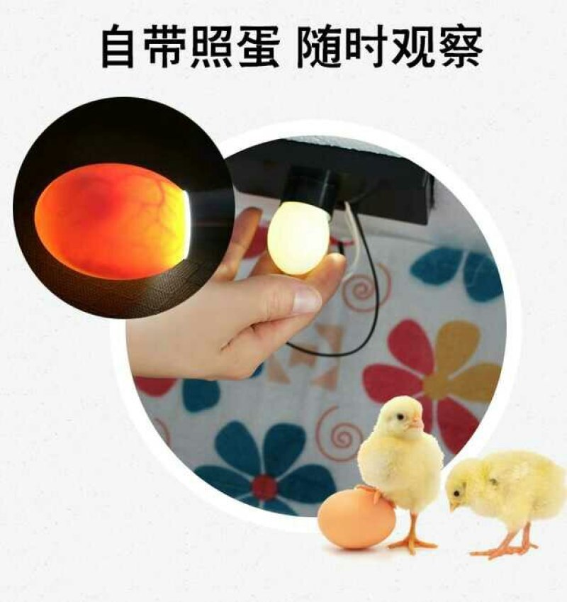 新伟达水床孵化机全自动小型家用型孔雀孵蛋器鸭鹅鸽子小鸡孵
