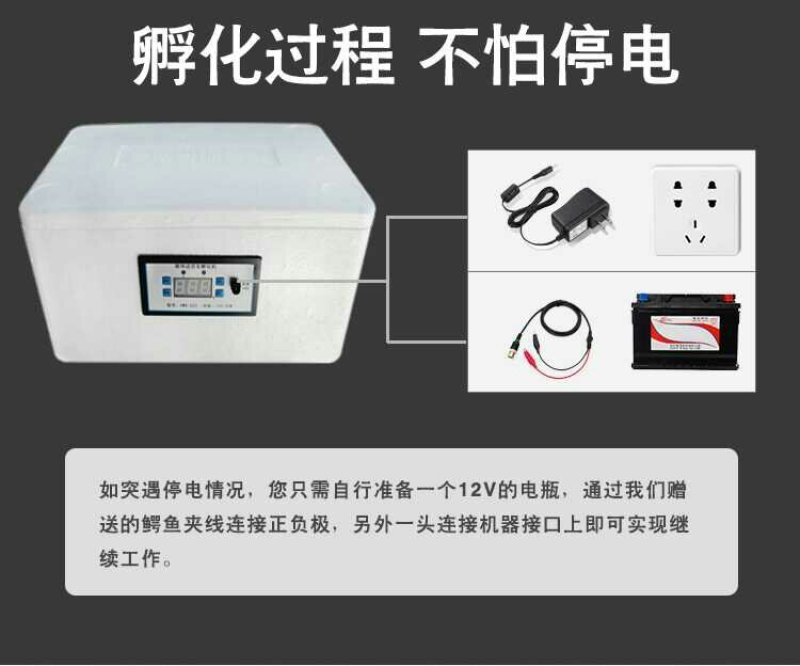 新伟达水床孵化机全自动小型家用型孔雀孵蛋器鸭鹅鸽子小鸡孵