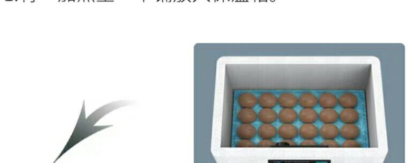 新伟达水床孵化机全自动小型家用型孔雀孵蛋器鸭鹅鸽子小鸡孵