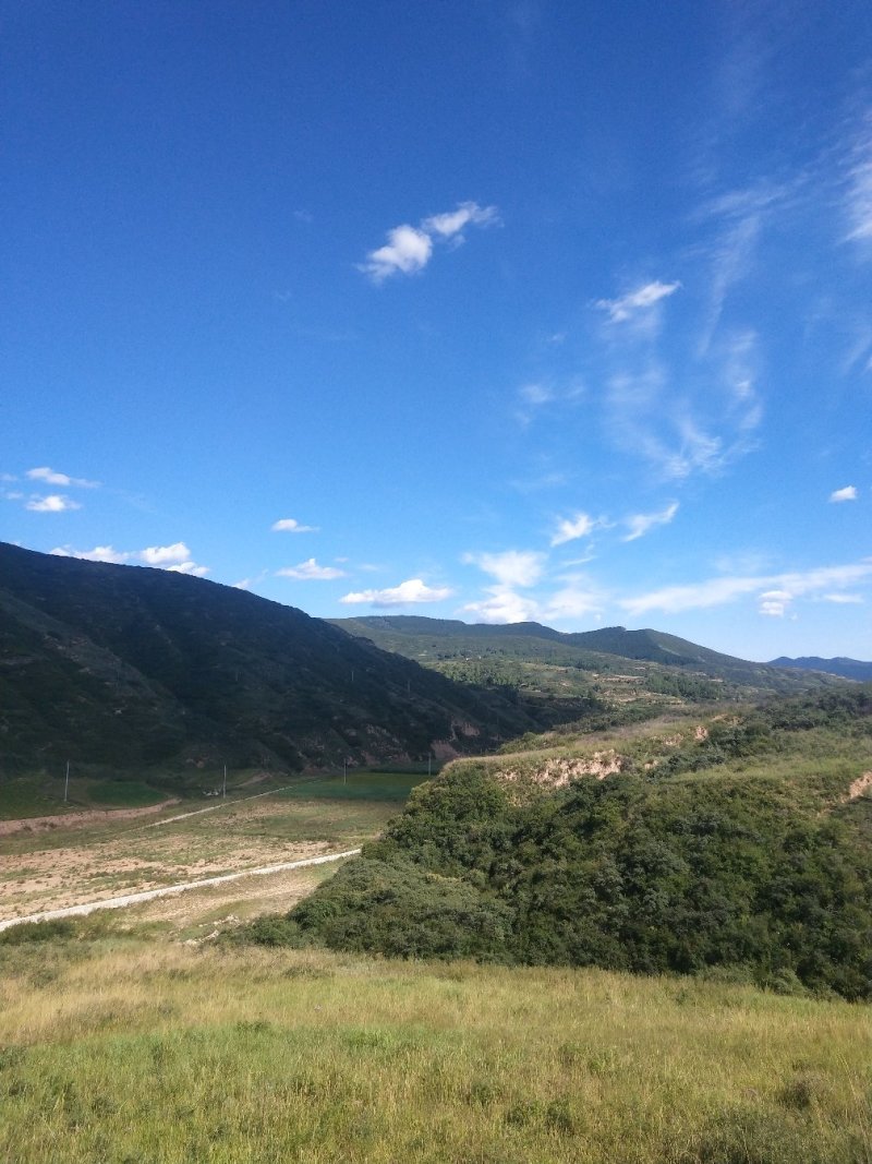 荒山