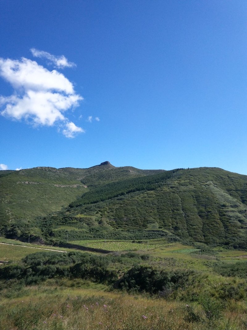 荒山