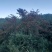 荒山
