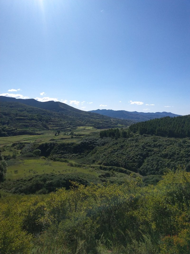 荒山