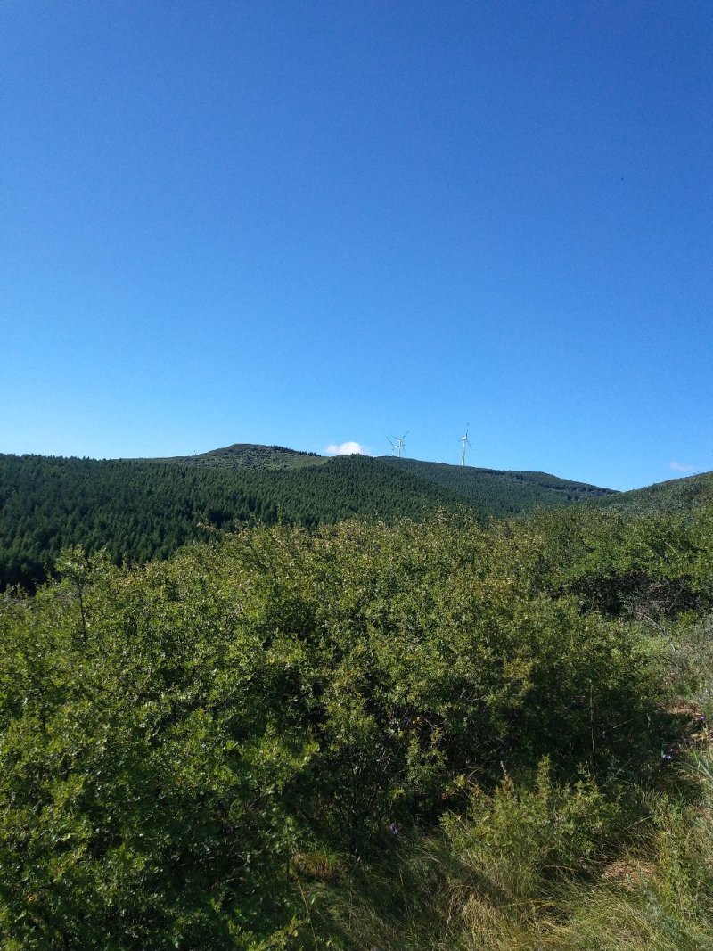 荒山