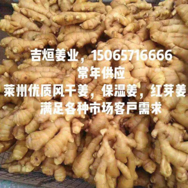 莱州大姜直供