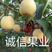蒲城优质酥梨大量上市中…社区团购直供，质量好，货源充足