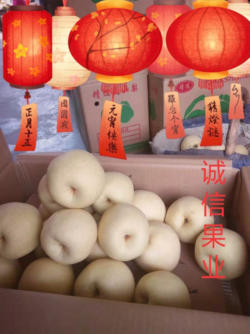 蒲城优质酥梨大量上市中…社区团购直供，质量好，货源充足