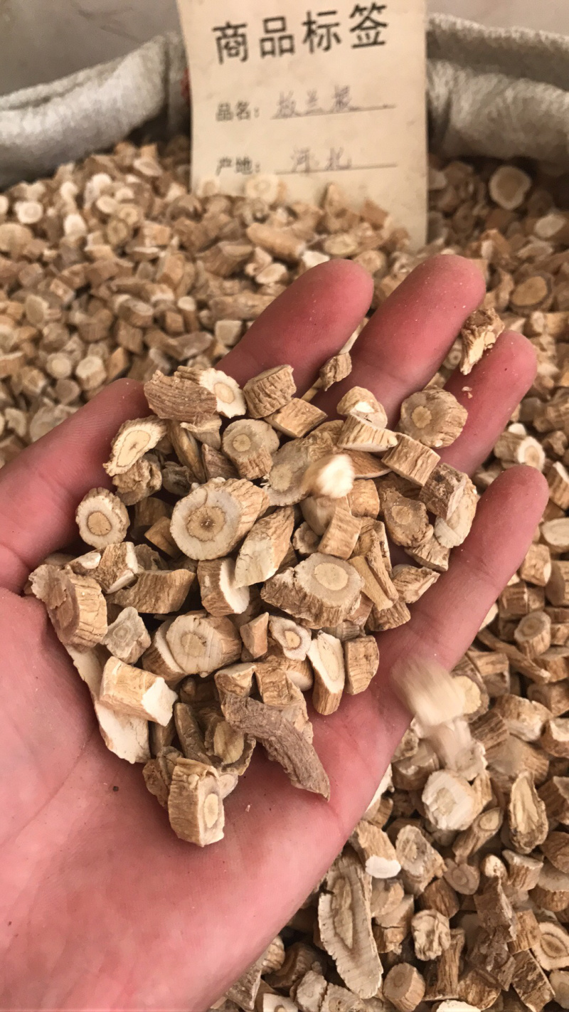 板蓝根