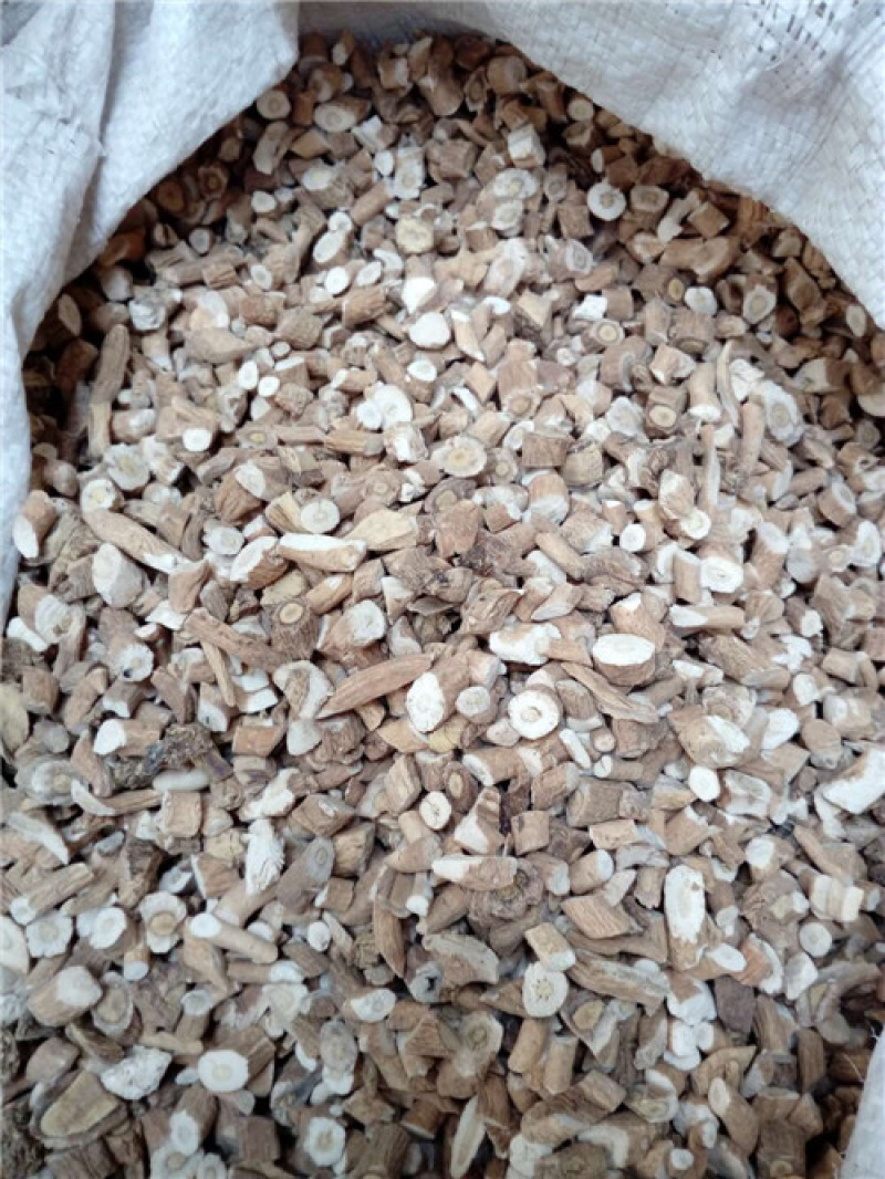 板蓝根