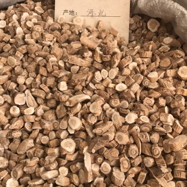 板蓝根