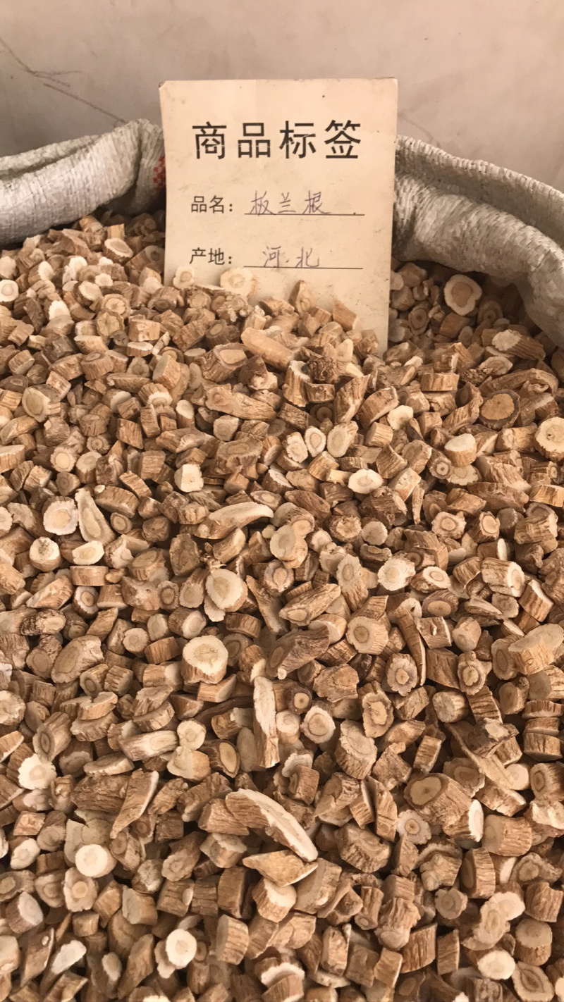 板蓝根