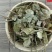 扶芳藤千余品种供应承接订单